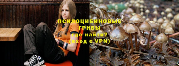MESCALINE Кукмор